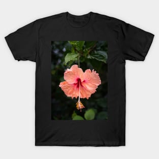 Hibiscus T-Shirt